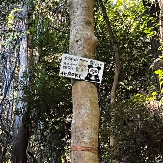 こんな所にAOKIさん