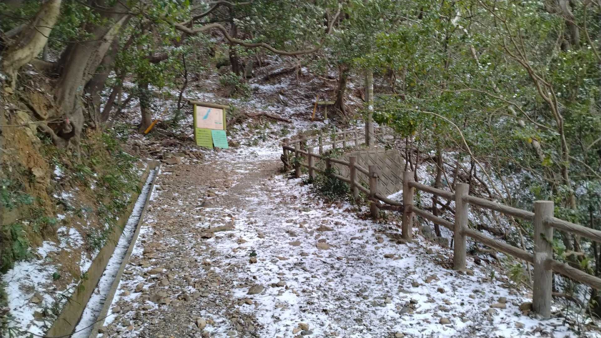 矢筈山 往復コースの写真