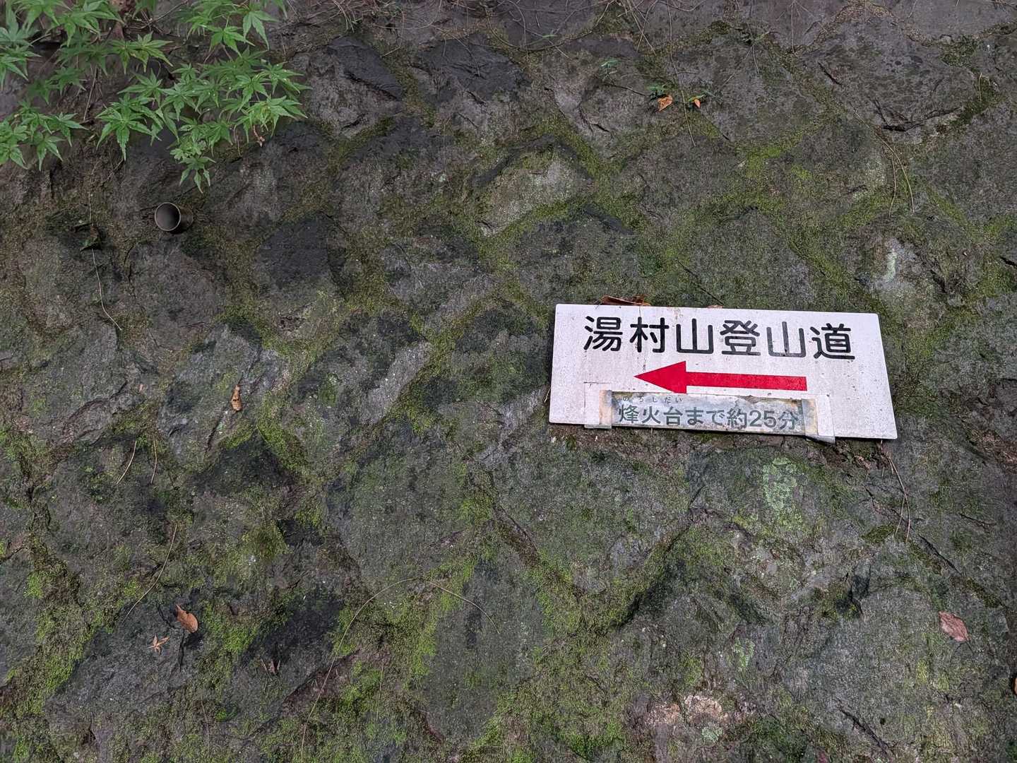 湯村山登山口-湯村山 往復コースの写真