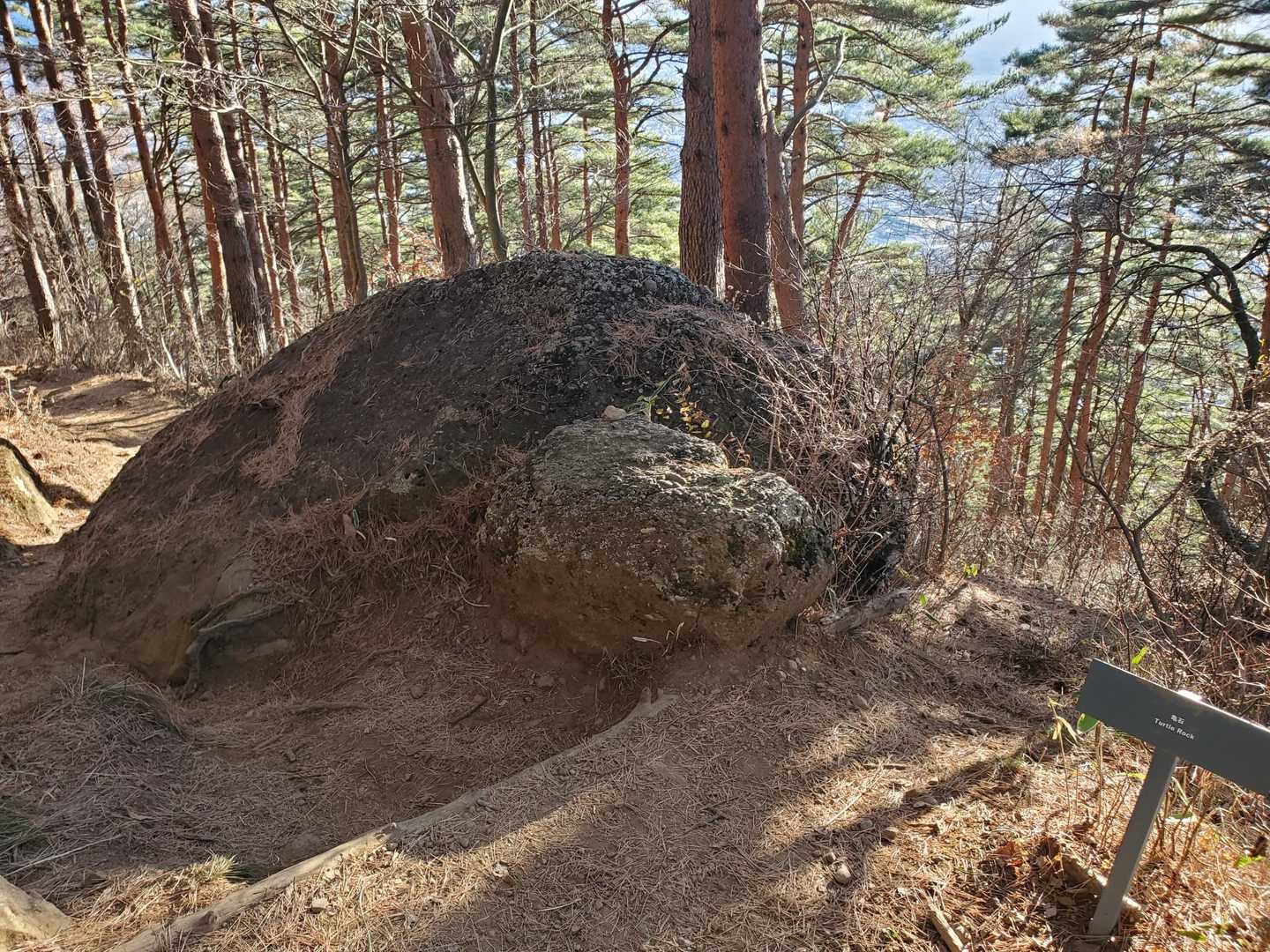 亀岩🐢