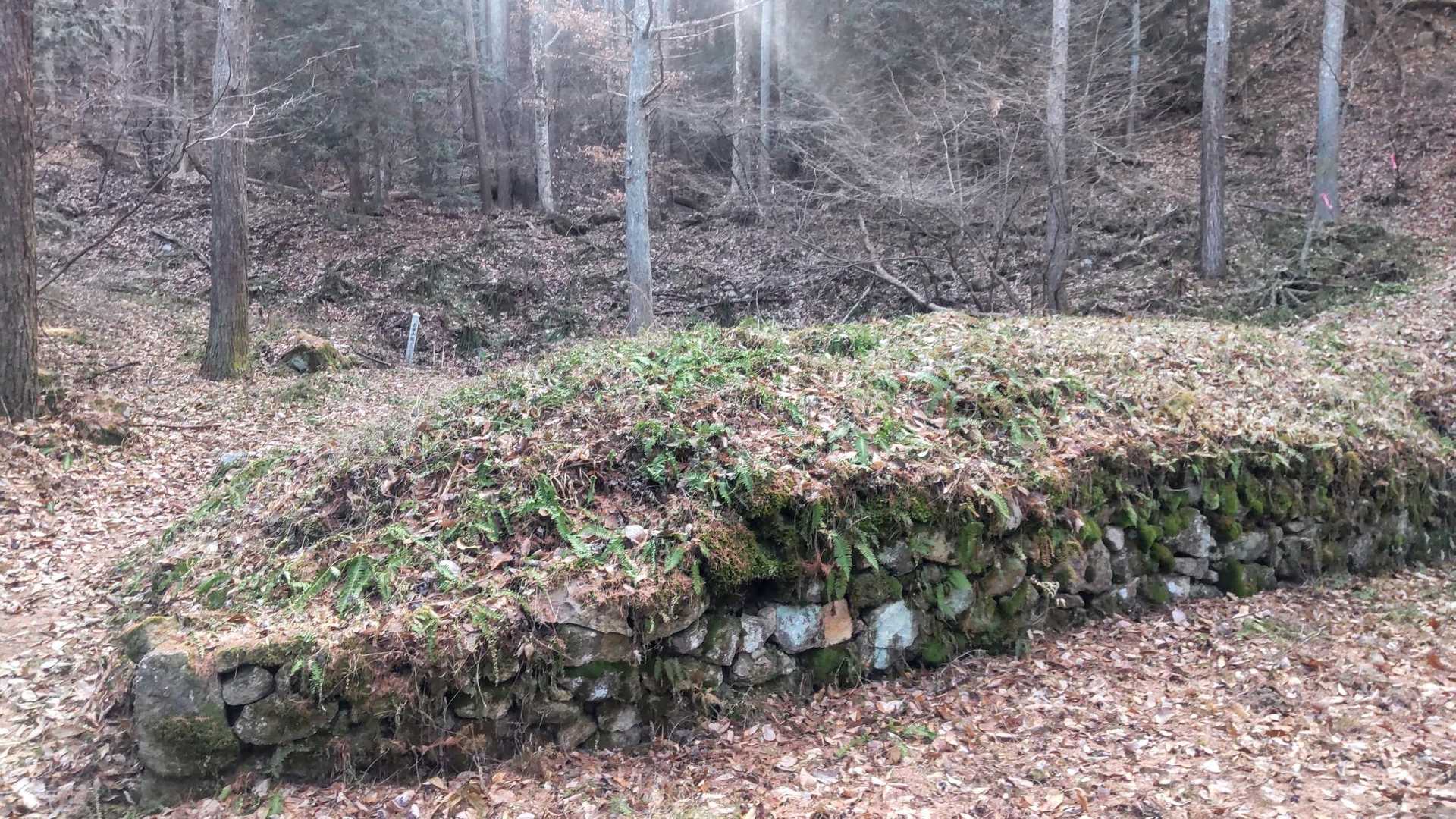 古の石垣🪨