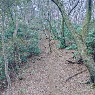 また 激登り😵‍💫