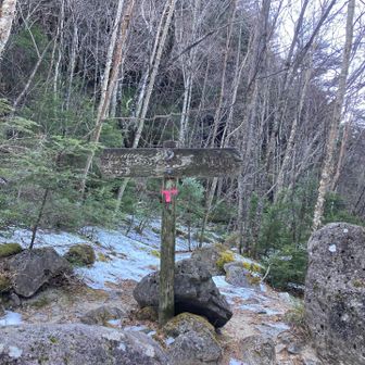 　瑞牆山山頂まで30分😃