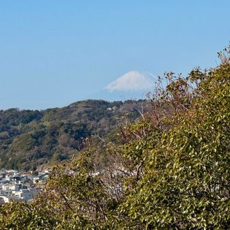 見晴台より左側から富士山が見えます。
