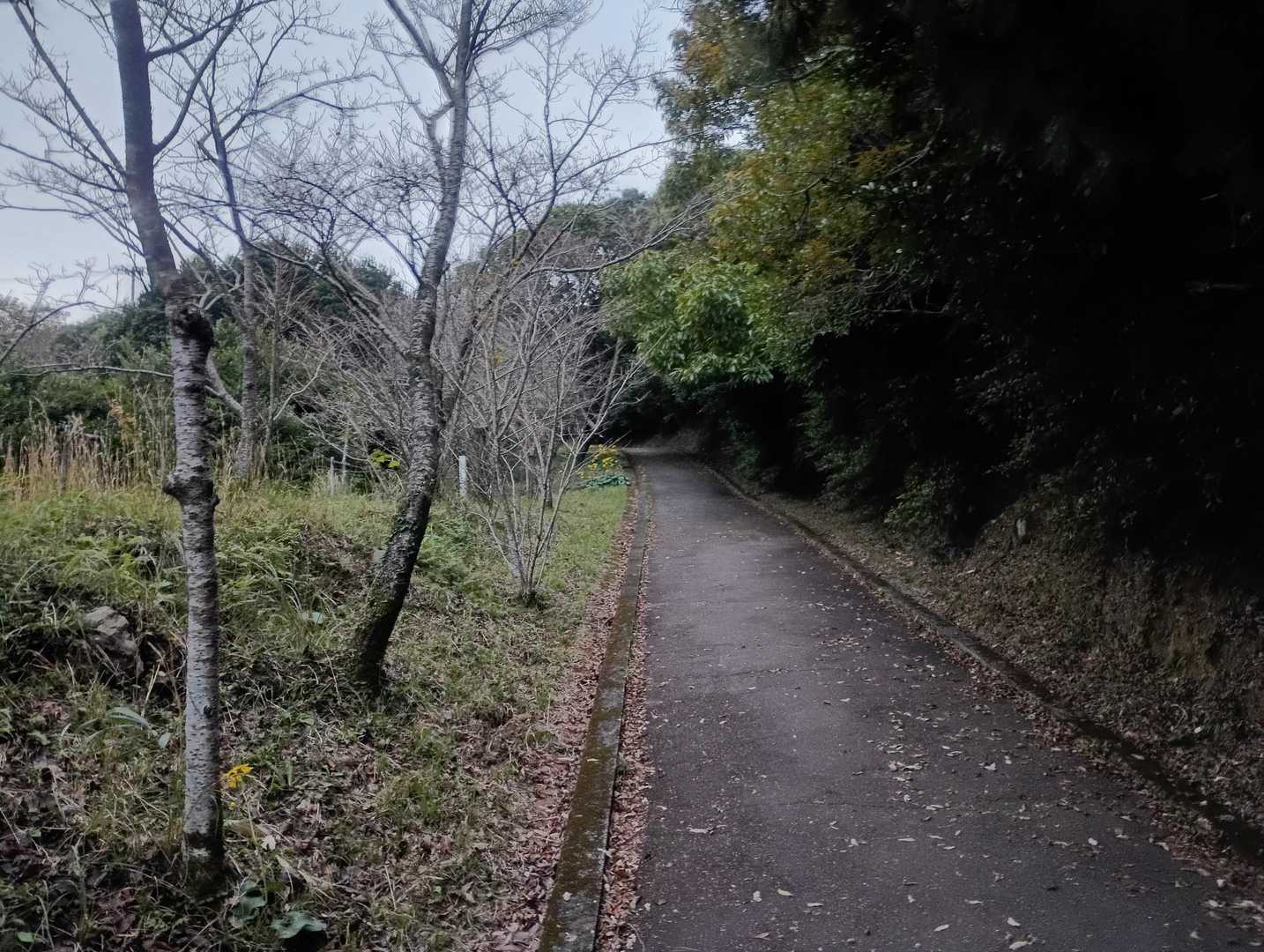 眉山最高点に向かいます