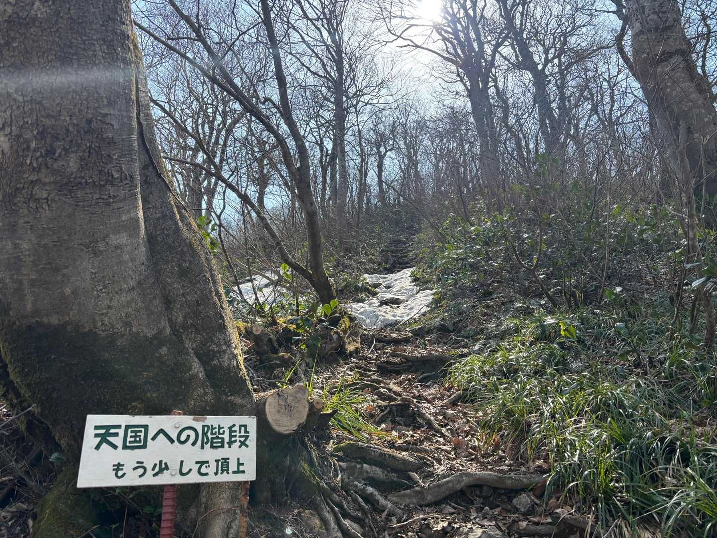 後半に天国の階段😇
この辺りからゴールの予感🏁