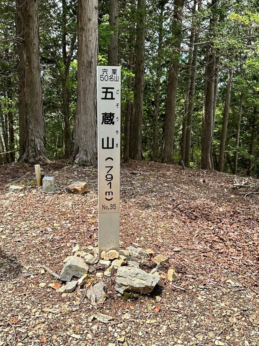 五蔵山　登頂🎌
