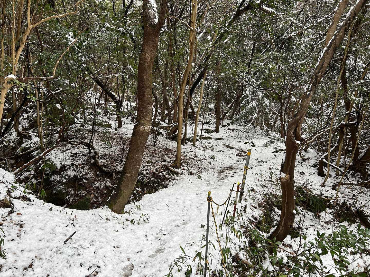 どんどん残雪が増えてきました。。