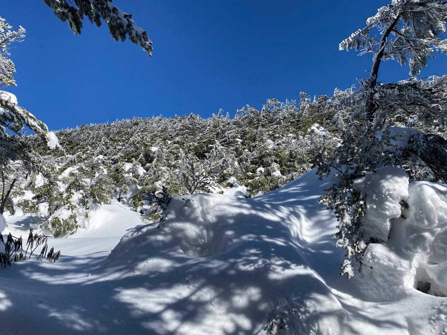 渋の湯バス停-渋ノ湯登山口-中山峠-ニュウ 周回コースの写真