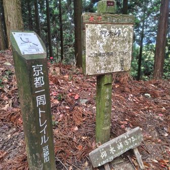 仰木峠に到着😊
ここまであまり人に会うことなかったけど、ここから先は多くの人とすれ違いました😀
トレランの人多かったです🏃