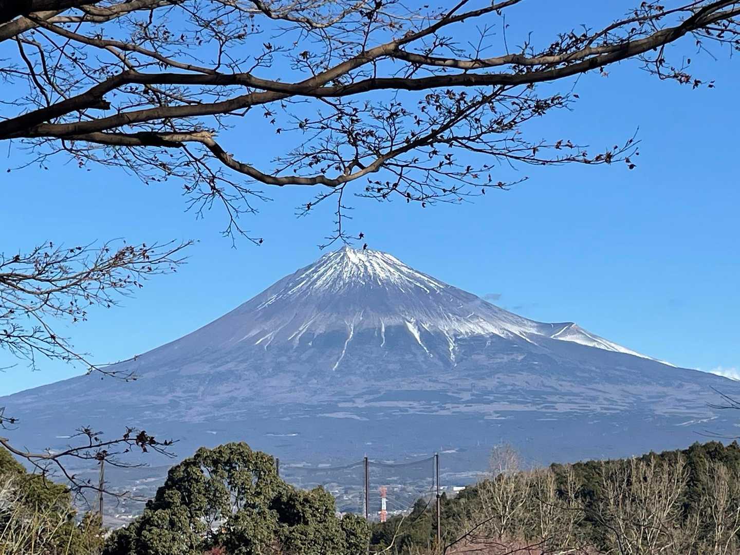 岩本山　🌸と梅がきれいな場所ね