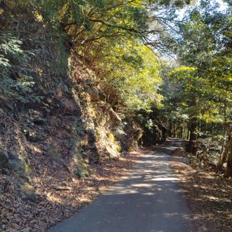 林道へと合流しました。
後は、愛宕社、椿大神社の脇を抜けて駐車場へと戻ります。