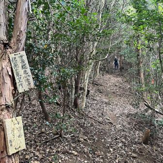 分岐まで下りてきた