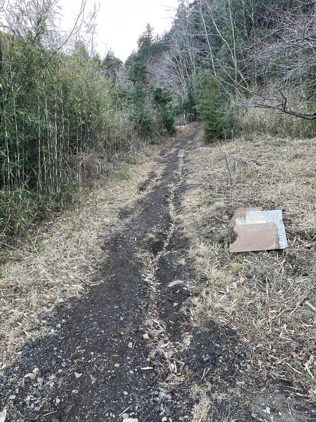 登山口に着きました。