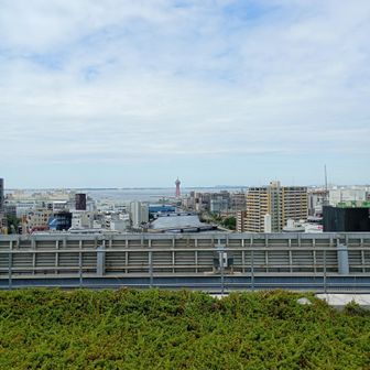 アクロス山山頂より