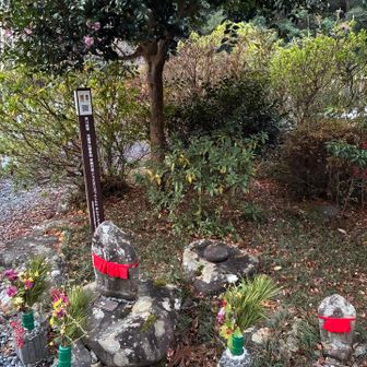 結局、路肩に駐車してお参り
早朝だからいいようなものの
良い子は真似をしてはいけません
そしてこんなみっともないレポでも
手拭い欲しさに公開する私😭
この日は滝畑林道ぐるぐるして疲れたから
もうおしまい
仕切り直しだ