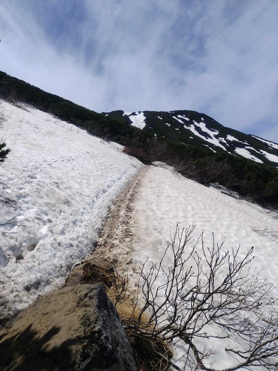 雪渓を渡る❄
想像してたよりも距離短い
アイゼンもヘルメット⛑️も持ってきたけど、ただのお荷物に💦