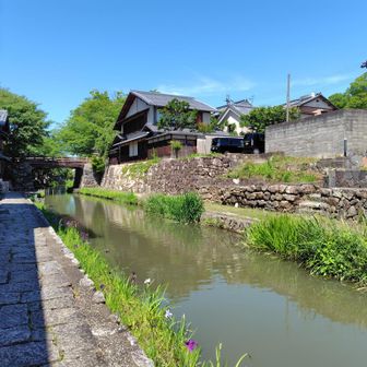 先ずは八幡堀
時代劇の風景から