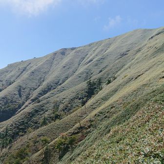 下山途中で振り返って次郎笈。
素敵な景色を見せてくれてありがとう❗
さぁ、明日は三嶺だ❗