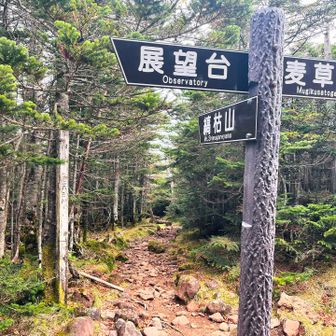 展望台分岐