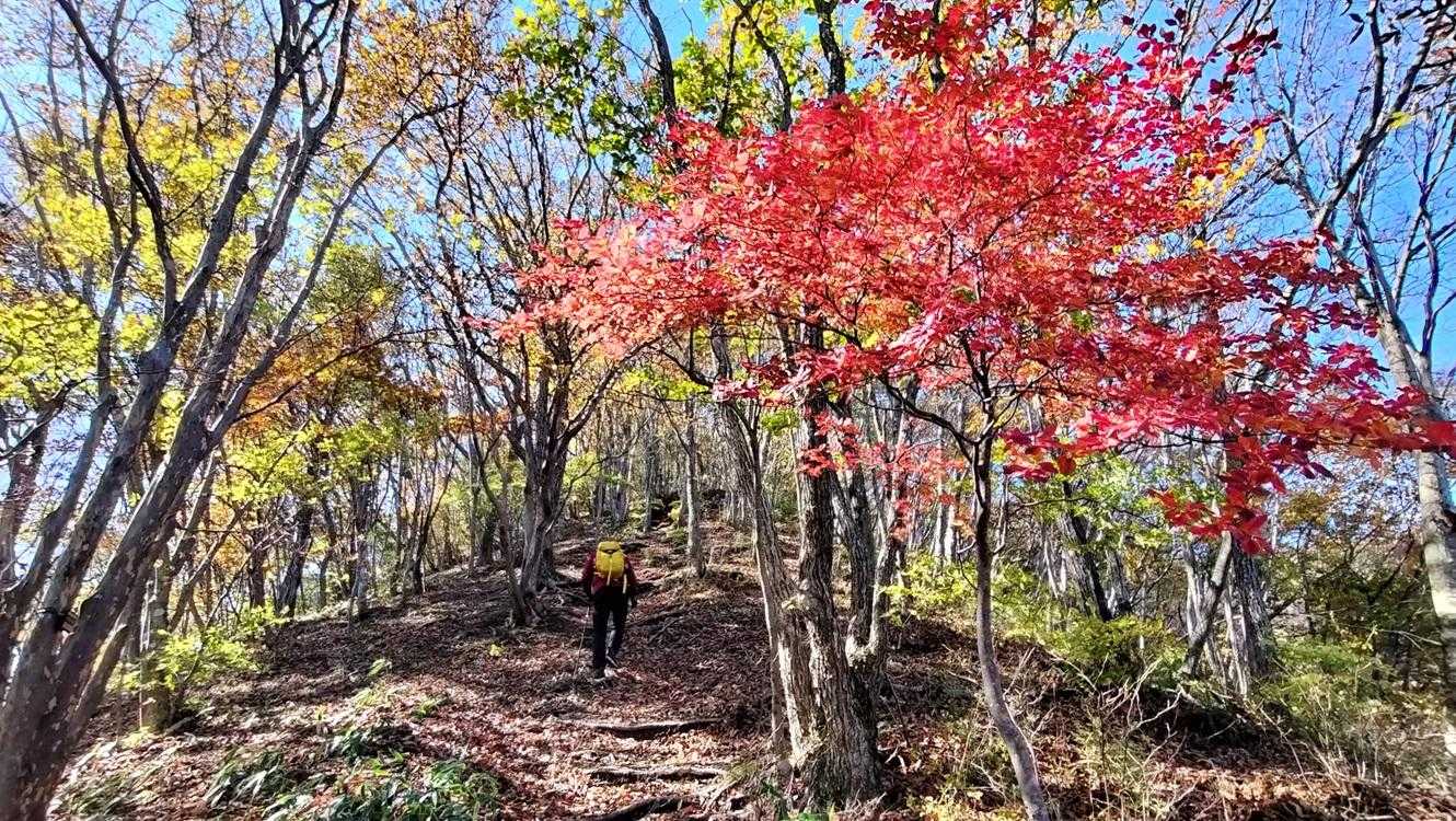 ここは赤い😍