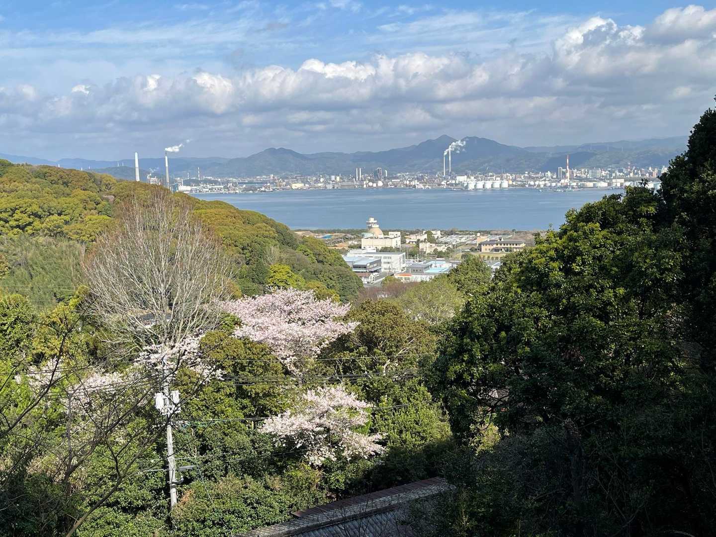 🌸と🏭