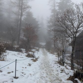 今日の景色は期待しません。こっちの道は少し歩いたところで封鎖されてました。