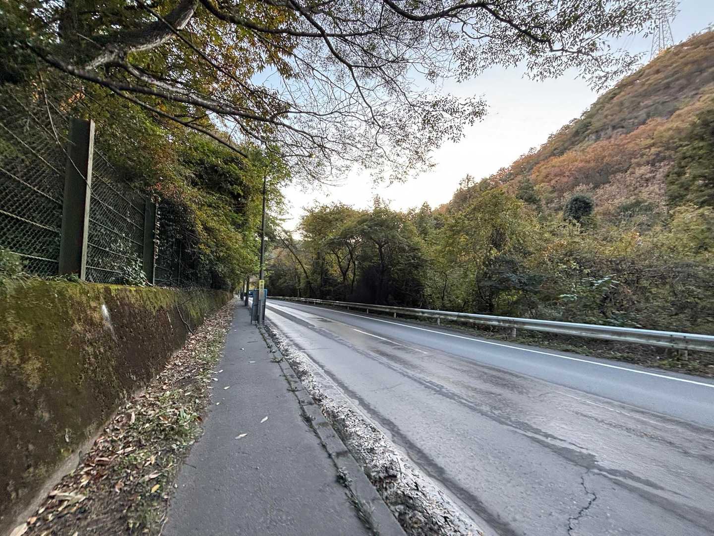 岩坂峠-金山 往復コースの写真