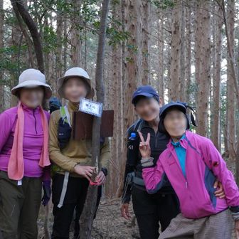 1番乗りグループ