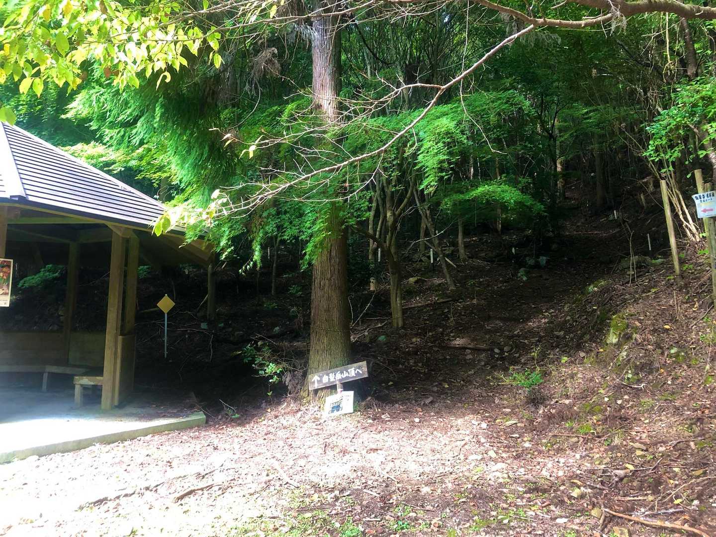駐車場から20分程林道を歩いて 登山道入り口がありました🚪 東屋もありました🏡