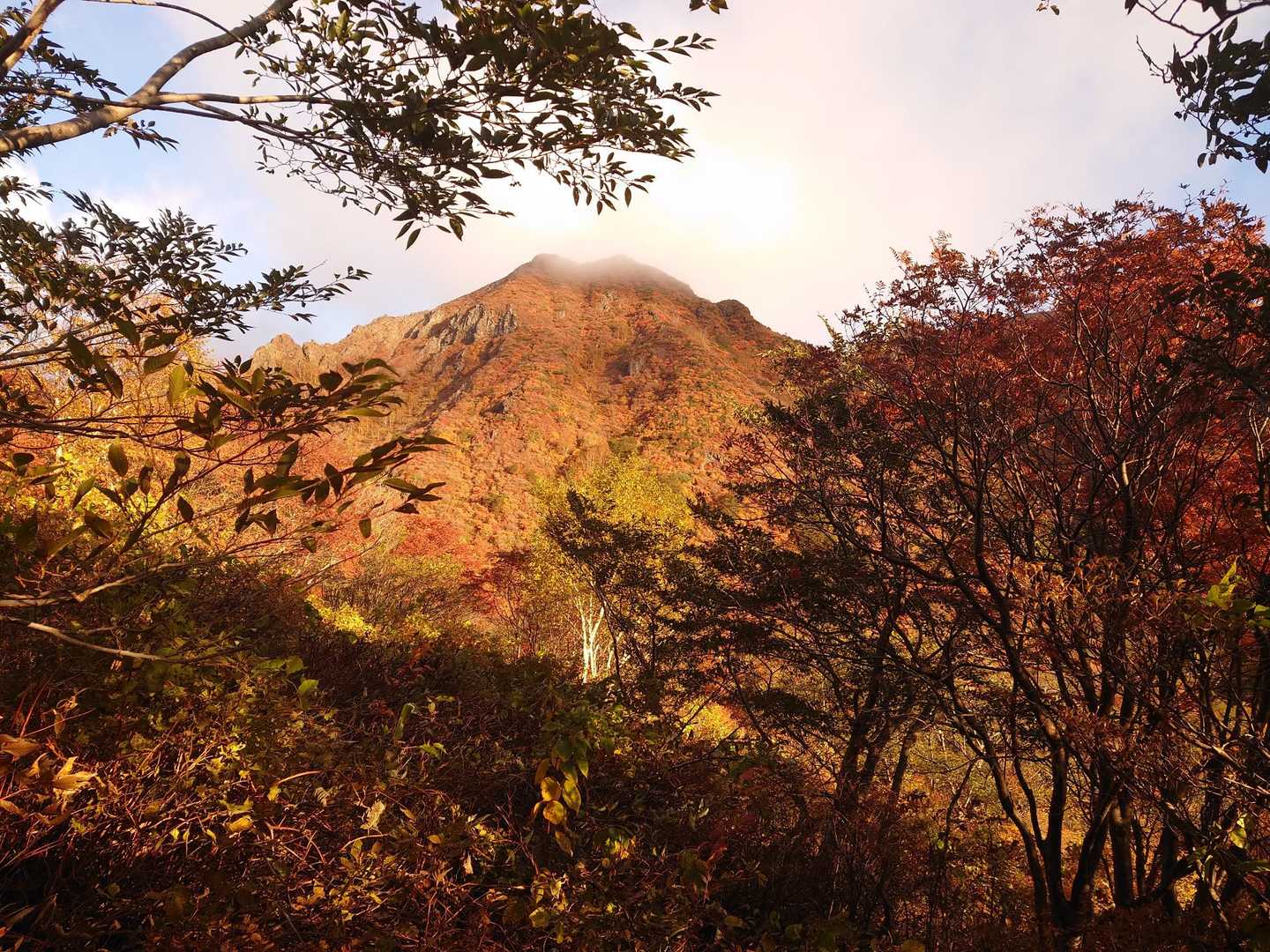 峠の茶屋登山口-朝日の肩-朝日岳 往復コースの写真