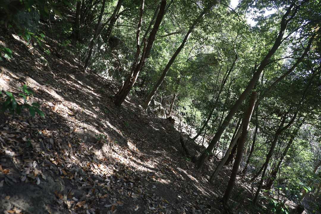 少しトラバース