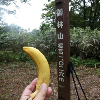 御林山で恒例のバナナをいただきました
軽く燃料補給です