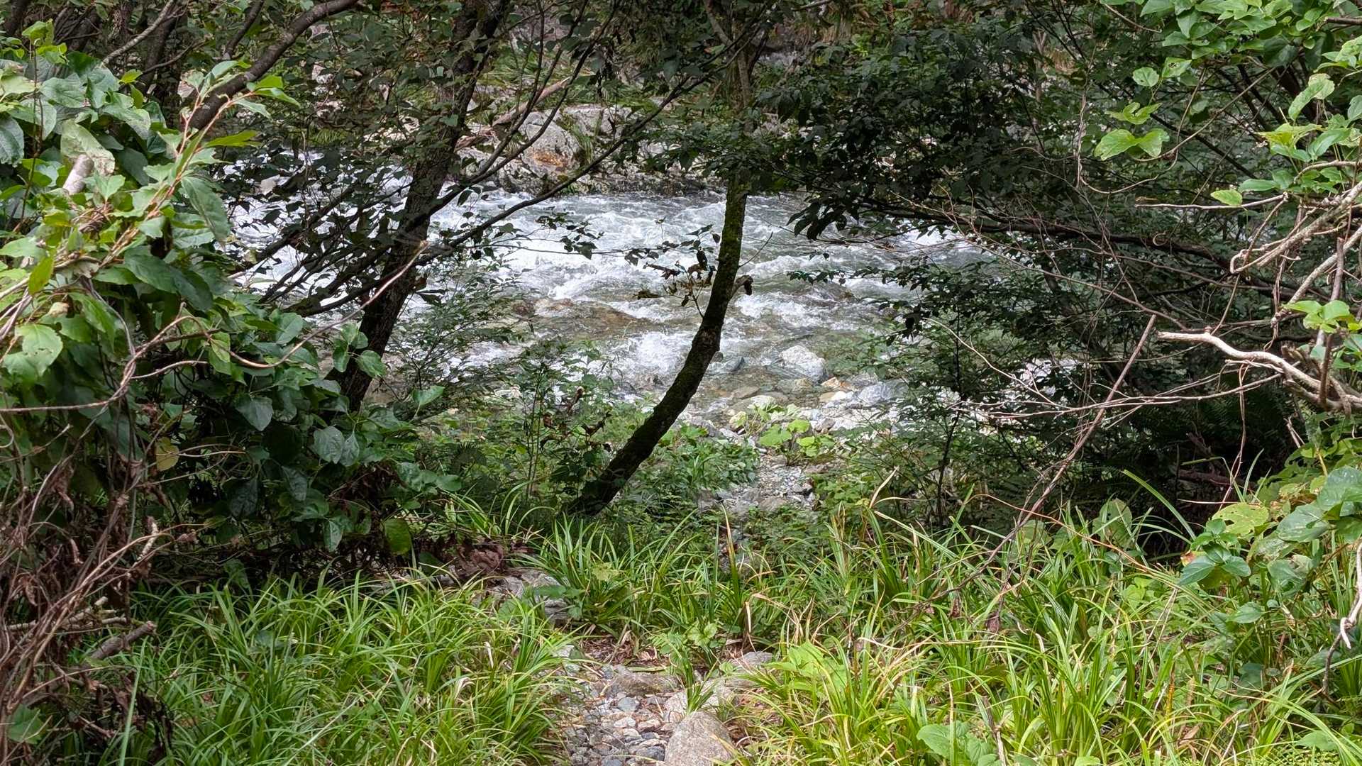 今日はドボンは無しで👍