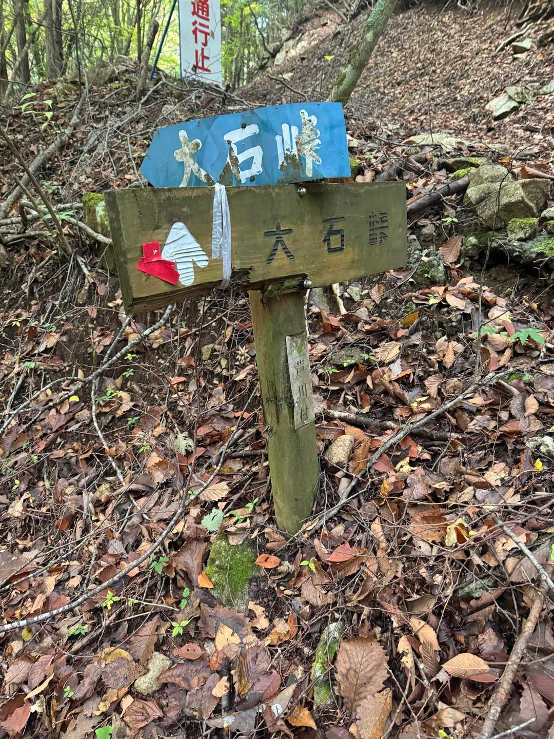 まずは大石峠を目指します👍