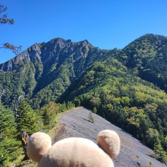 青ナギ
2ヶ月前八ヶ岳全山縦走した時、権現から赤岳の間でこの地点を遠くから眺めて、ツルツルの一枚岩のように思ってましたが、ザレ場でした
