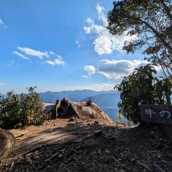 次からはここ直で🐄