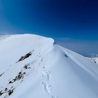 マコスケさんのトレース映えてる✨