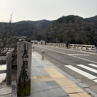 大変空いてるらしい
のんびり散策