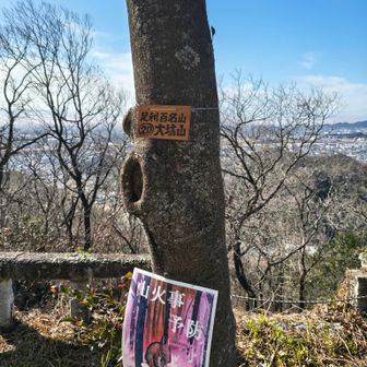 こっちの方が好き