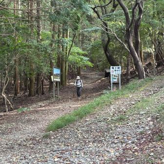 駐車場まで戻ってきました。
途中　鳥達がすごく騒いでるところがあったけど、上空に何か居たのかな？
まさか　🐻じゃないよね