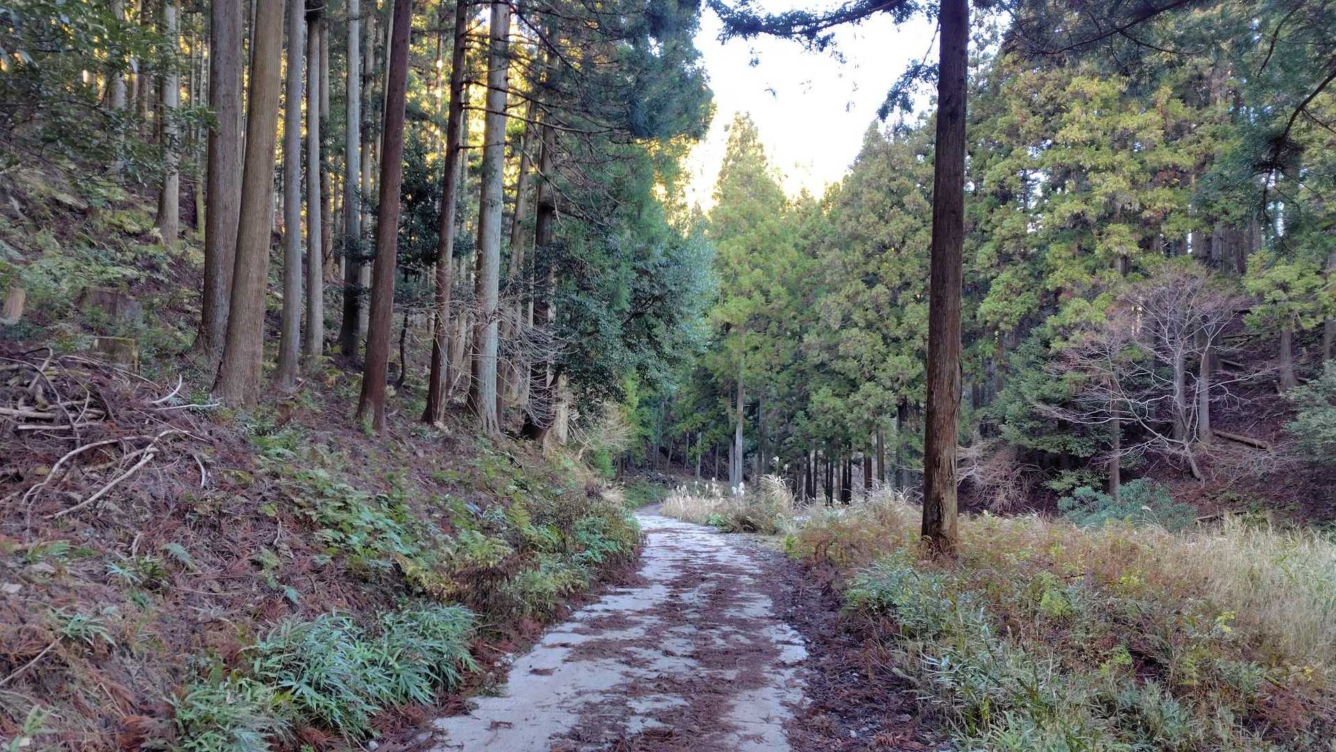戻りました