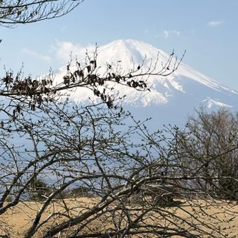 足柄城址に寄り道