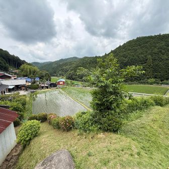 麓に降りてきました。
これより後は舗装路のみです。