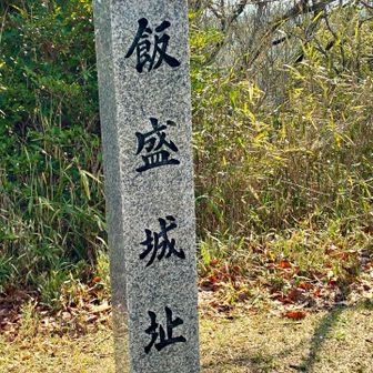 ここが飯盛山山頂です。⛰️