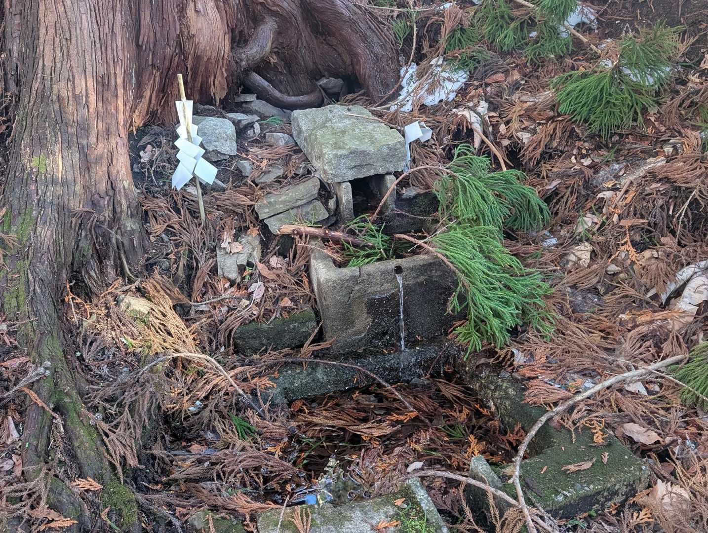 卯子酉山 往復コースの写真