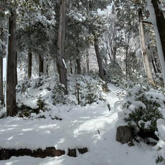 山頂！
東屋撮り忘れたー
三角点は、二等三角点　点名は古城山