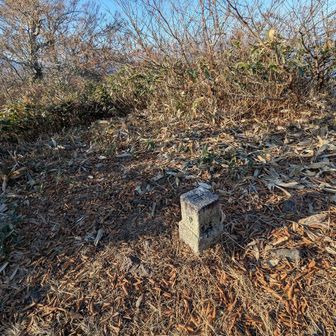 道は綺麗に整備されていて、歩きやすかったですが、三角点以外特に何も無い。