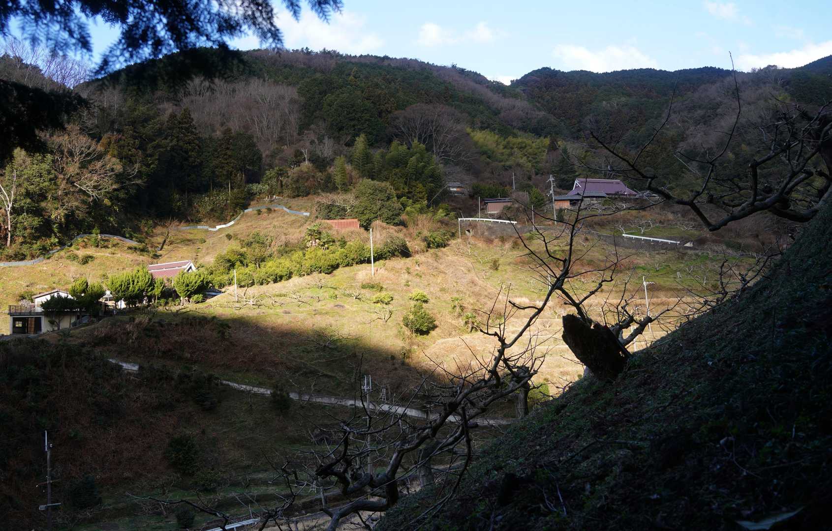 不動山登り口-不動山 往復コースの写真
