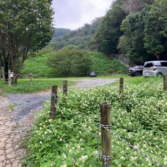 数分登った所に広い駐車場があります。こちらに停めれば良かった。(本来はここ「鐘撞堂山ふるさとの森駐車場」に停めるのが正解でした。)